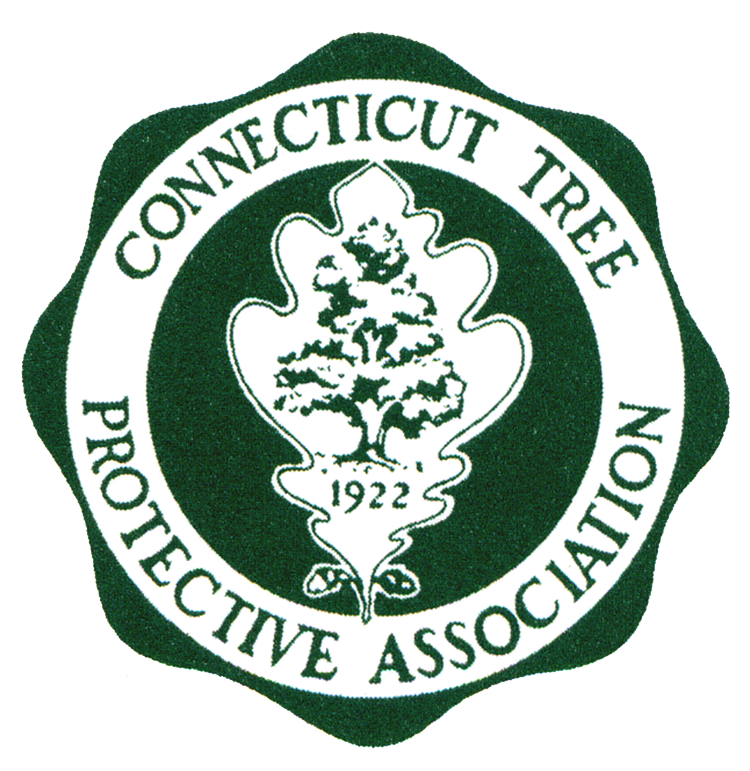 ctpa member, connecticut certified arborist, tree trimming ct