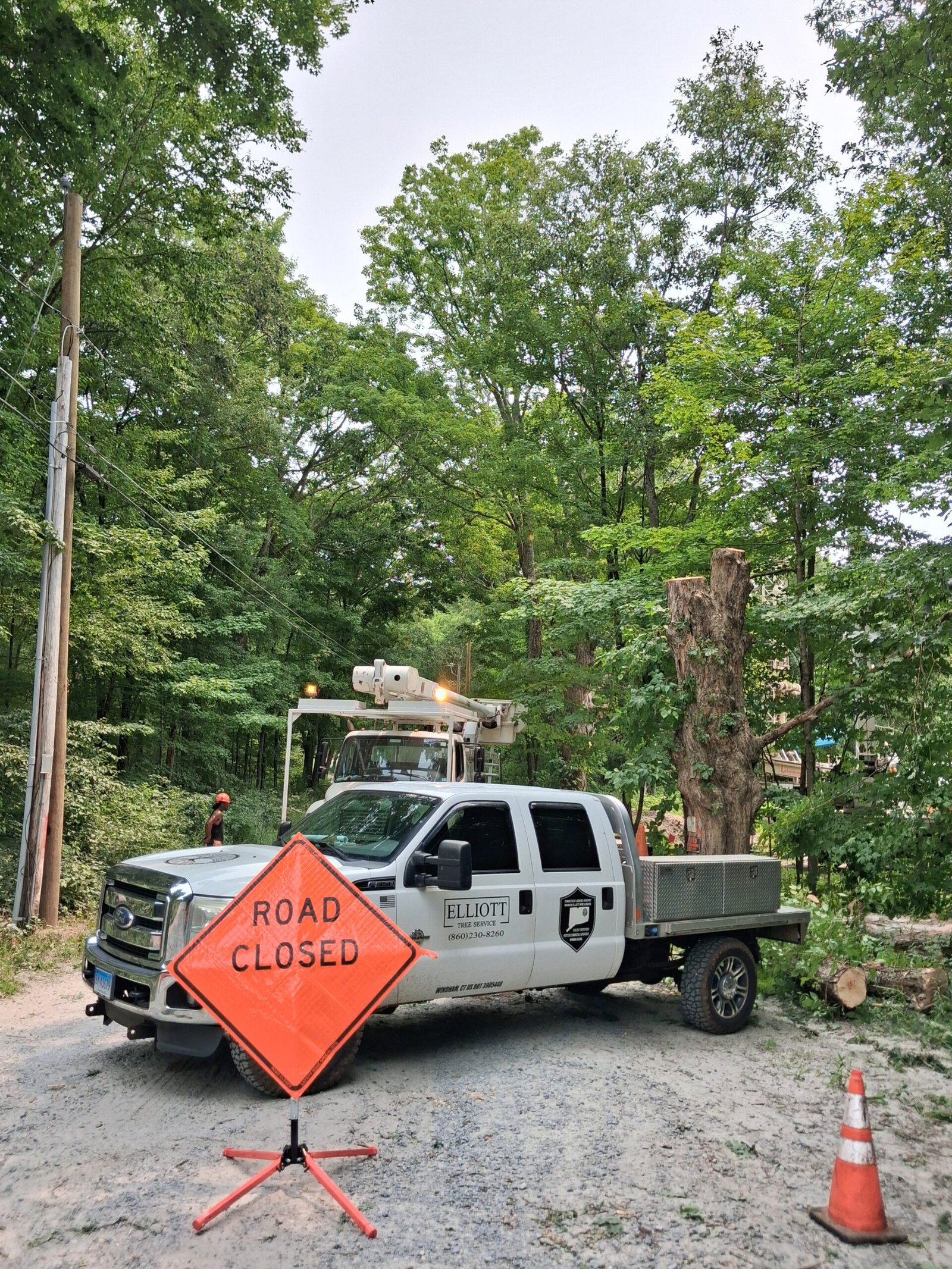 emergency tree removal