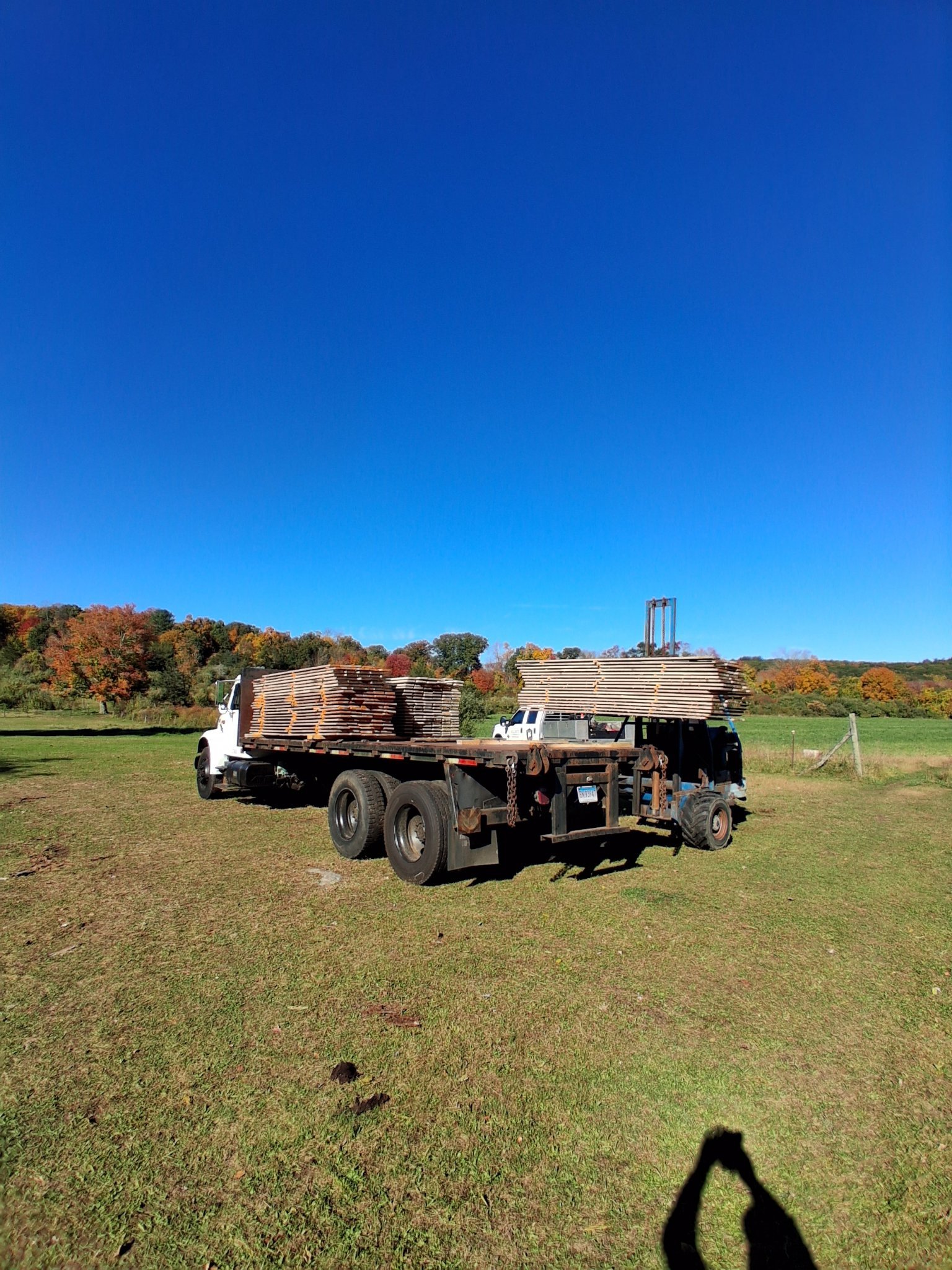 Flatbed load of rough-cut lumber milled from local trees White flatbed truck loaded with bundled rough-cut lumber in a field, forklift at the back lifting another stack, fall foliage