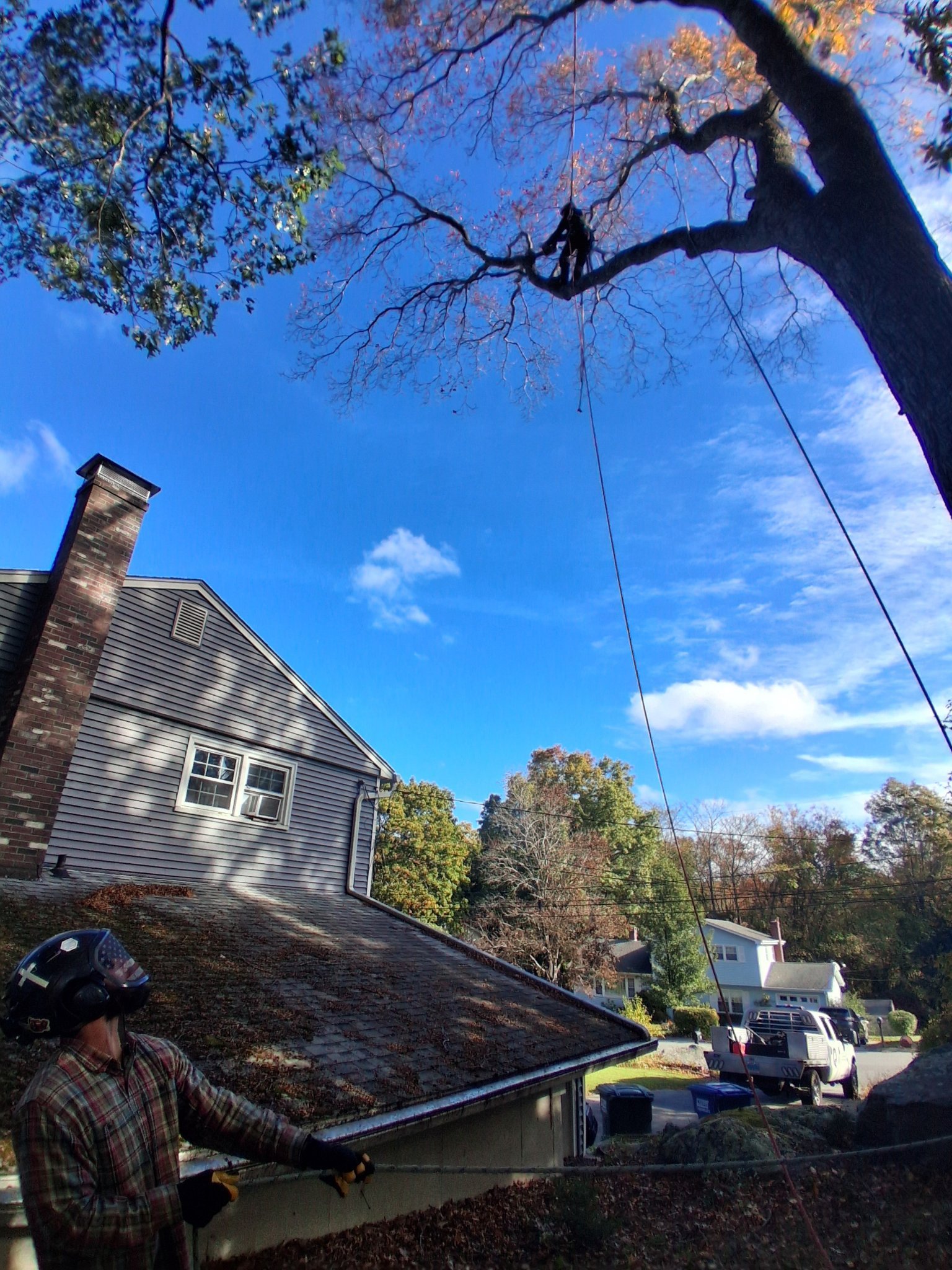 Elliott Tree Service foreman Mike climbing for a careful removal